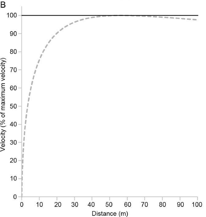 Normalized sprinter velocity in the 100m dash